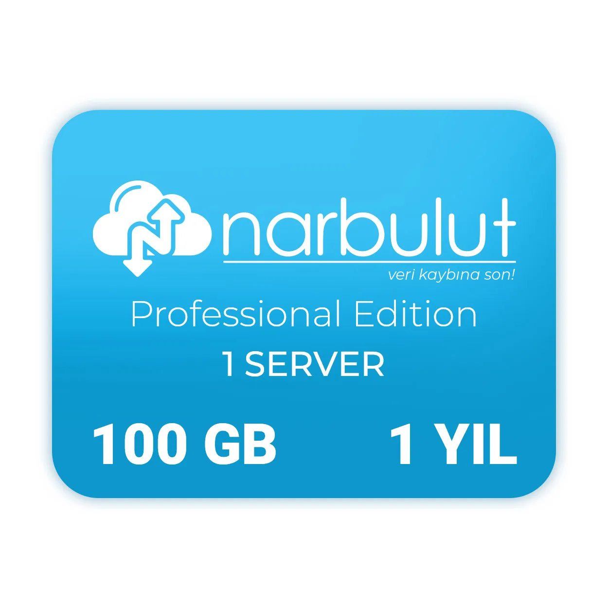 NARBULUT Backup Now Professional Edition 100GB Lisans 1yıl 1kullanıcı basic support is included. görsel 4