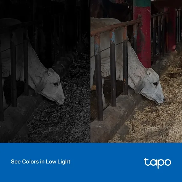 TP-LINK 2MP Bullet 3.3mm Kablosuz IP Kamera Tapo C320WS görsel 7
