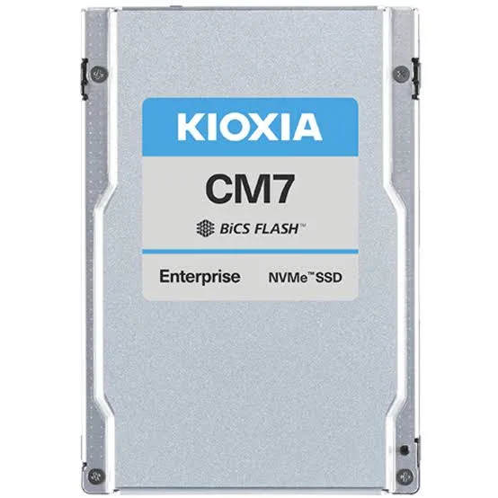 KIOXIA 3.84TB KCMYXRUG3T84 10000-4900MB/s Enterprise U3 NVME Gen5 Disk